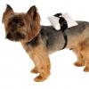 Rubies Ring Bearer Pet Pillow