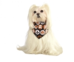 Rubies Glitter Pumpkin Bandana S-M