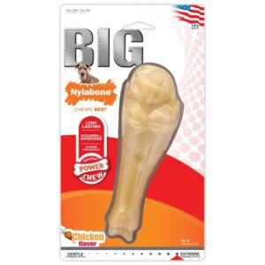 Nylabone Power Chew Jumbo Drumstick Big Dog Chew Toy Drumstick, Chicken, 1ea/XXL/Monster 1 ct