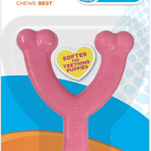 Nylabone Puppy Chew Toy Wishbone Puppy Pink Original, Chicken, 1ea/XS/Petite 1 ct