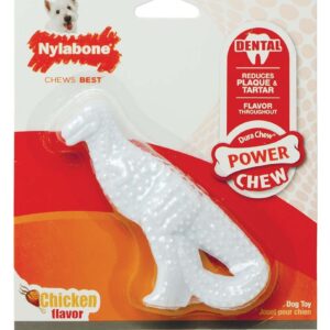 Nylabone Dental Dinosaur Power Chew Durable Dog Toy Chicken, 1ea/SMall/Regular 1 ct