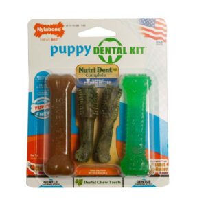 Nylabone Dental Kit For Puppies Chicken and Peanut Butter Flavor Petite - Up To 15 Lb
