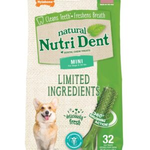 Nylabone Nutri Dent Natural Dental Fresh Breath Flavored Chew Treats 1ea/Mini 32 ct