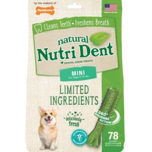 Nylabone Nutri Dent Natural Dental Fresh Breath Flavored Chew Treats 1ea/Mini 78 ct
