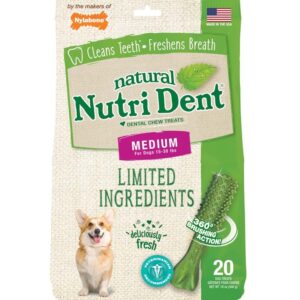Nylabone Nutri Dent Natural Dental Fresh Breath Flavored Chew Treats 1ea/Medium 20 ct