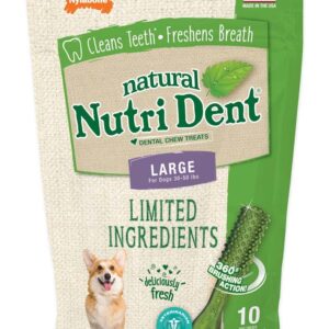 Nylabone Nutri Dent Natural Dental Fresh Breath Flavored Chew Treats 10 Count Large - Up To 50 Lb