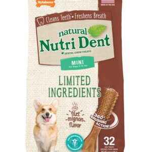 Nylabone Nutri Dent Filet Mignon Flavored Dog Dental Chews 1ea/Mini 32 ct