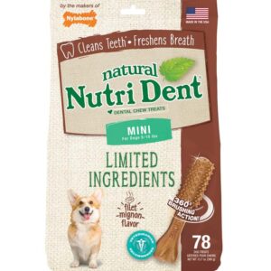 Nylabone Nutri Dent Filet Mignon Flavored Dog Dental Chews 1ea/Mini 78 ct