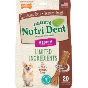 Nylabone Nutri Dent Filet Mignon Flavored Dog Dental Chews 1ea/Medium 20 ct