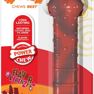 Nylabone Flavor Frenzy Power Chew Dog Toy Beef Jerky, 1ea/SMall/Regular 1 ct