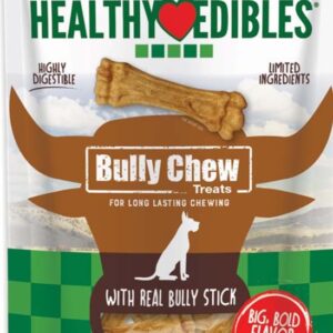 Nylabone Power Chew Shish Kabob Alternative Nylon Chew Toy Shish Kabob, Chicken, 1ea/SMall/Regular 1 ct
