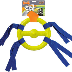 Nylabone Power Play Ring Thing Floatable Dog Toy Ring Thing, 1ea/Medium 1 ct