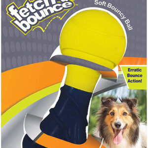 Nylabone Power Play Rubber Dog Toy FetchaBounce FetchaBounce, 1ea/SMall 1 ct