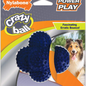 Nylabone Power Play Ball for Dogs Crazy Ball Crazy Ball, 1ea/Large 1 ct
