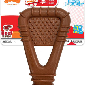 Nylabone Power Chew Arch Bone Dog Dental Chew Toy Arch Bone, Beef, 1ea/Large/Giant 1 ct