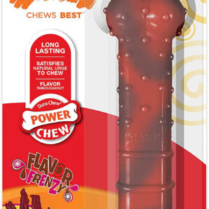 Nylabone Power Chew Durable Dog Chew Toys Twin Pack Beef Jerky  Chicken, 1ea/SMall/Regular 2 ct