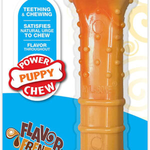 Nylabone Puppy Power Textured Nylon Puppy Chew Toy Beef Broth  Vegetables, 1ea/Large/Giant 1 ct
