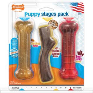 Nylabone Puppy Chew Stages Triple Chew Toy Pack Bones, 1ea/Medium/Wolf 3 ct