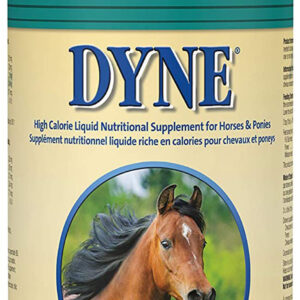 Lambert Kay Dyne High Calorie Liquid Nutritional Equine Supplement 32 Fl Oz