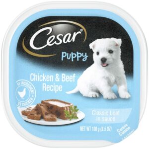 Cesar Puppy Chicken and Beef Wet Dog Food 24Ea/3.5 Oz, 24 Pk