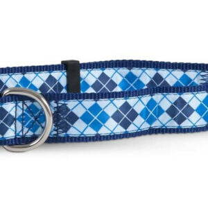 Aspen Ribbon Overlay Adjustable Dog Collar Blue 3/8 in x 14-20 in Medium