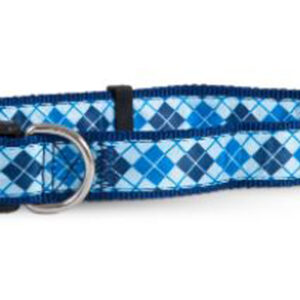 Aspen Ribbon Overlay Adjustable Dog Collar Blue 5/8 in x 10-14 in Small