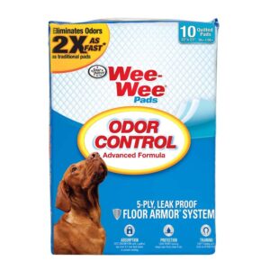 Four Paws Wee-Wee Odor Control Training Pads 10 Count Standard 22 In X 23 In