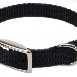 Coastal Single-Ply Nylon Collar Black 3/8X10In