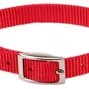 Coastal Single-Ply Nylon Collar Red 3/8X12In