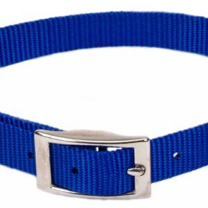 Coastal Single-Ply Nylon Dogcollar Blue 3/8X12In