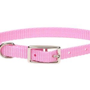 Coastal Single-Ply Nylon Collar Neon Pink 3/8X12In