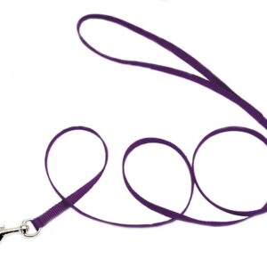 Coastal Single-Ply Nylon Leash Purple 3/8X4Ft