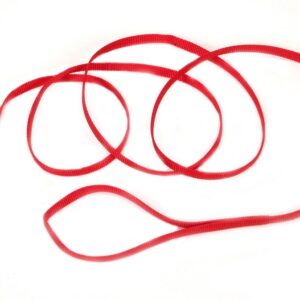 Coastal Single-Ply Nylon Leash Red 3/8X6Ft