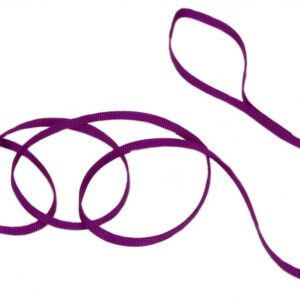 Coastal Single-Ply Nylon Leash Purple 3/8X6Ft