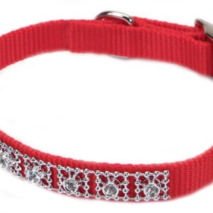 Coastal Nylon Jeweled Collar Red 3/8X10In