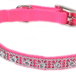 Coastal Nylon Jeweled Collar Neon Pink 3/8X10In