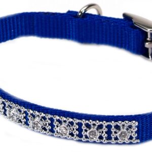 Coastal Nylon Jeweled Collar Blue 3/8X12In