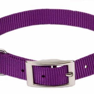 Coastal Single-Ply Nylon Collar Purple 5/8X12In