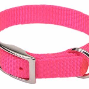 Coastal Single-Ply Nylon Collar Neon Pink 5/8X14In