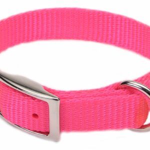 Coastal Single-Ply Nylon Collar Neon Pink 5/8X16In