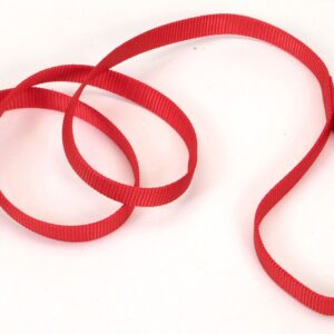 Coastal Single-Ply Nylon Leash Red 5/8X4Ft