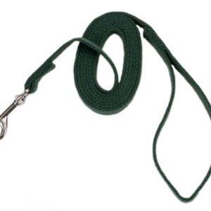 Coastal Train Right! Cotton Web Training Leash Green 5/8X6Ft