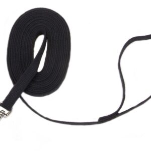 Coastal Train Right! Cotton Web Training Leash Black 5/8X6Ft