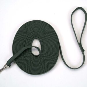 Coastal Train Right! Cotton Web Training Leash Green 5/8X15Ft