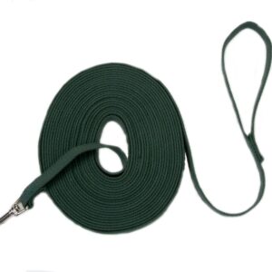 Coastal Train Right! Cotton Web Training Leash Green 5/8X20Ft
