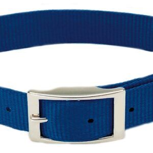 Coastal Single-Ply Nylon Collar Blue 3/4X18In