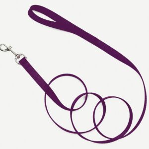 Coastal Single-Ply Nylon Dog Leash Purple 3/4 in x 4 ft