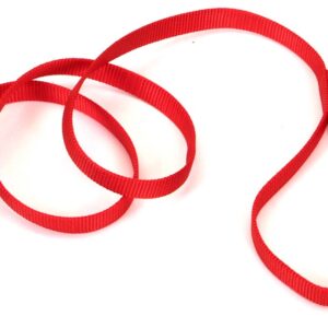 Coastal Single-Ply Nylon Dog Leash Red 3/4 in x 6 ft