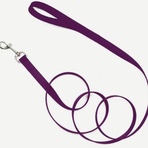 Coastal Single-Ply Nylon Dog Leash Purple 3/4 in x 6 ft