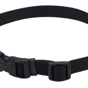 Coastal Adjustable Nylon Dog Collar with Plastic Buckle Black 5/8 in x 10-14 in